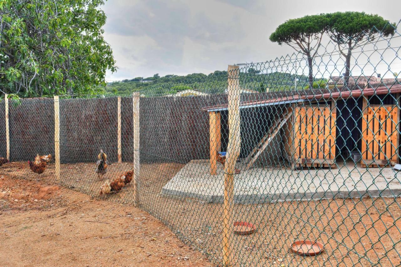 Masia Cal Ros S'Agaro Bagian luar foto